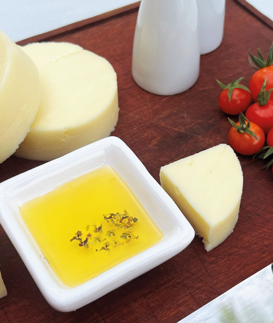 Nuestros Productos